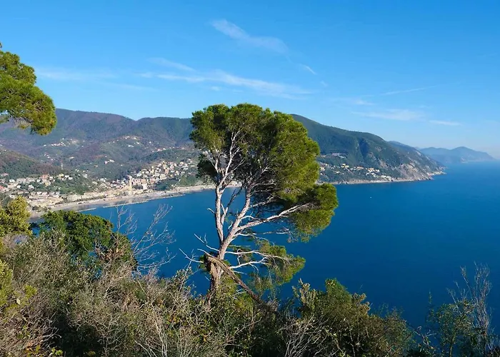 Il Cuore Di Moneglia - Moneglia Apartments