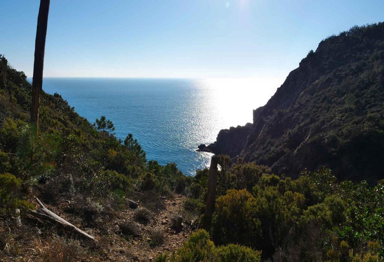 Il Cuore Di - * Moneglia
